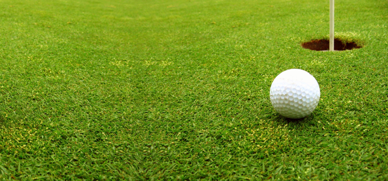 Golf Ball Pin And Cup